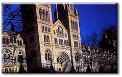 Natural History Museum, South Kensington